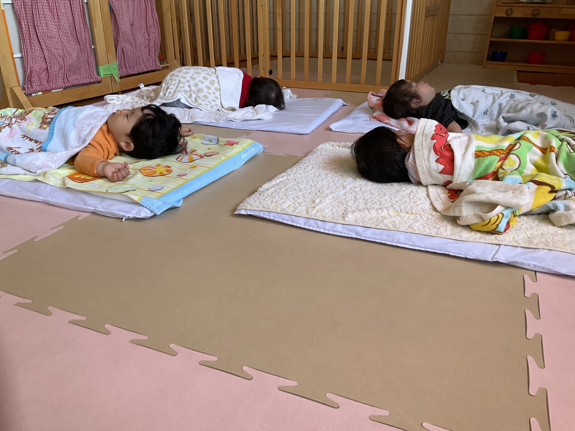 一日の生活