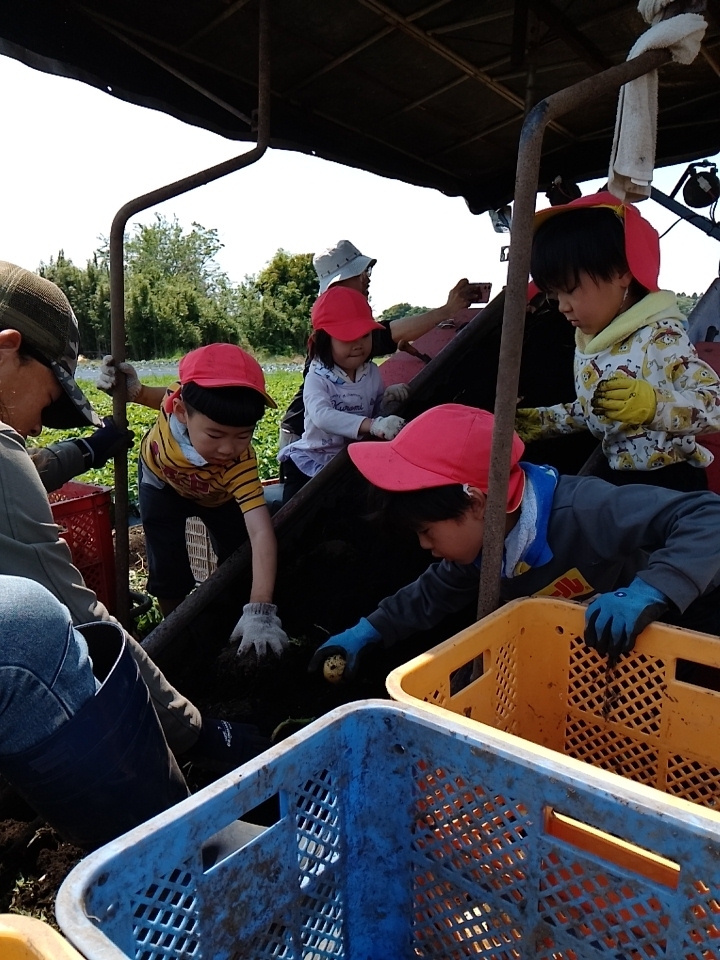 田植え